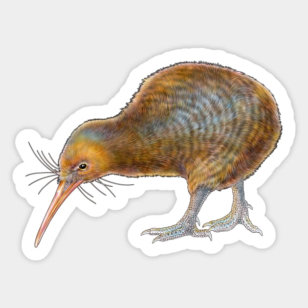 Kiwi Sticker by Tim Jeffs Art